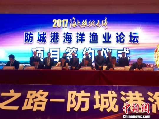 防誠(chéng)港最新,防誠(chéng)港的最新發(fā)展，機(jī)遇與挑戰(zhàn)并存