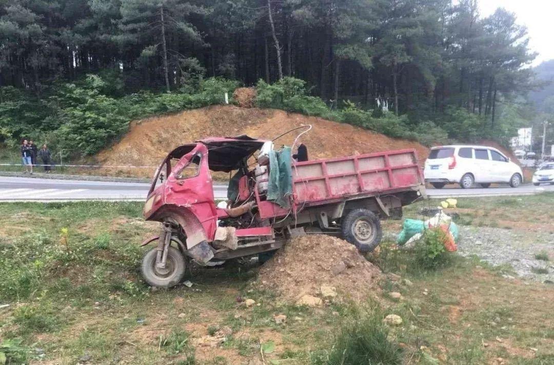 平山事故背后的溫馨故事，友情、愛與陪伴的奇遇