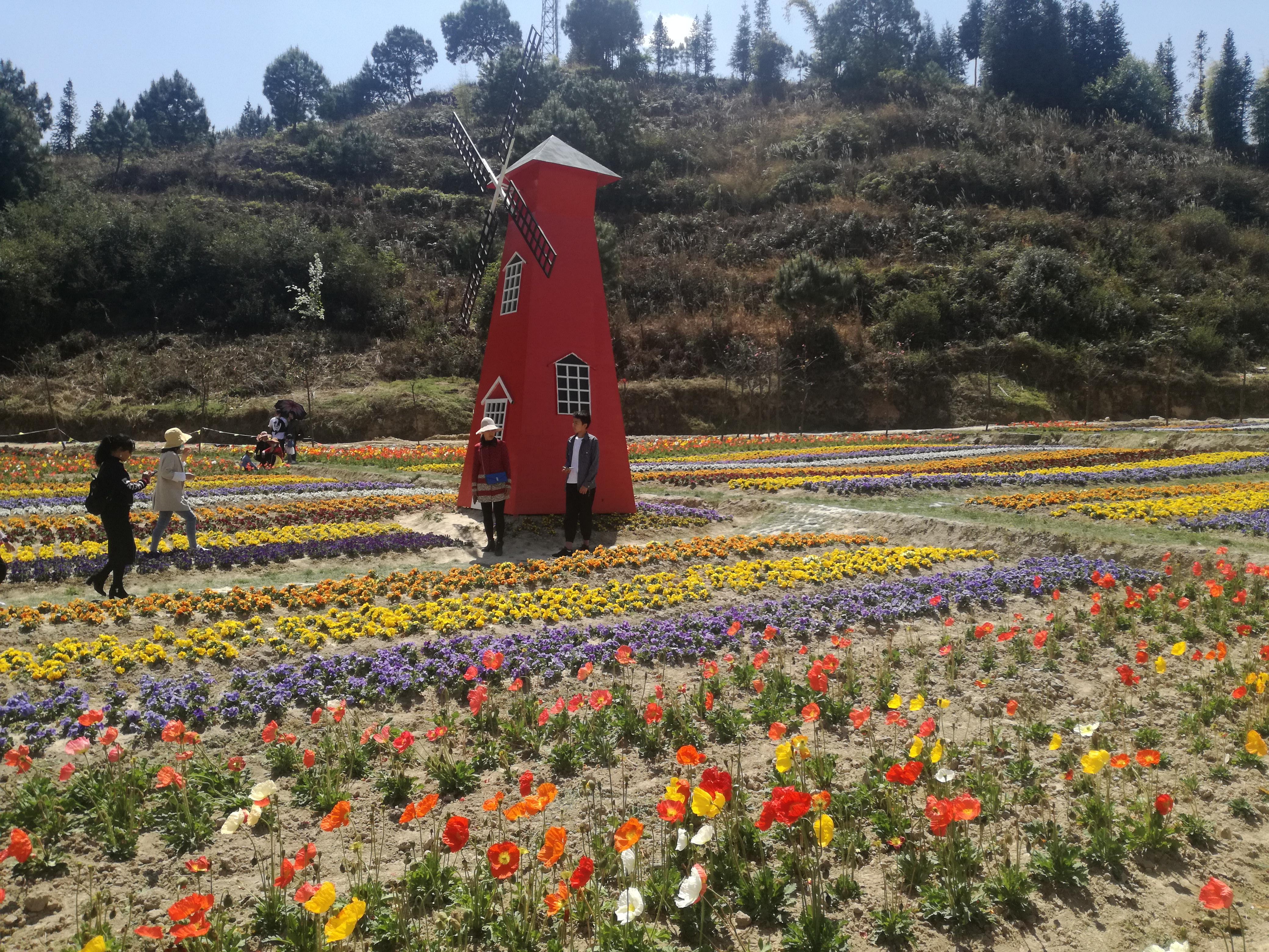 臨滄市最新探索，自然美景之旅，尋找內(nèi)心平和的旅程