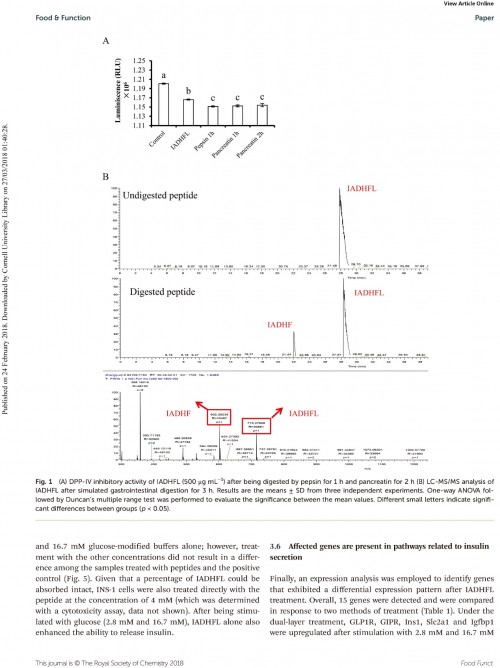 糖肽最新文獻(xiàn)，自然之旅的心靈探尋之旅，尋找內(nèi)心的寧靜