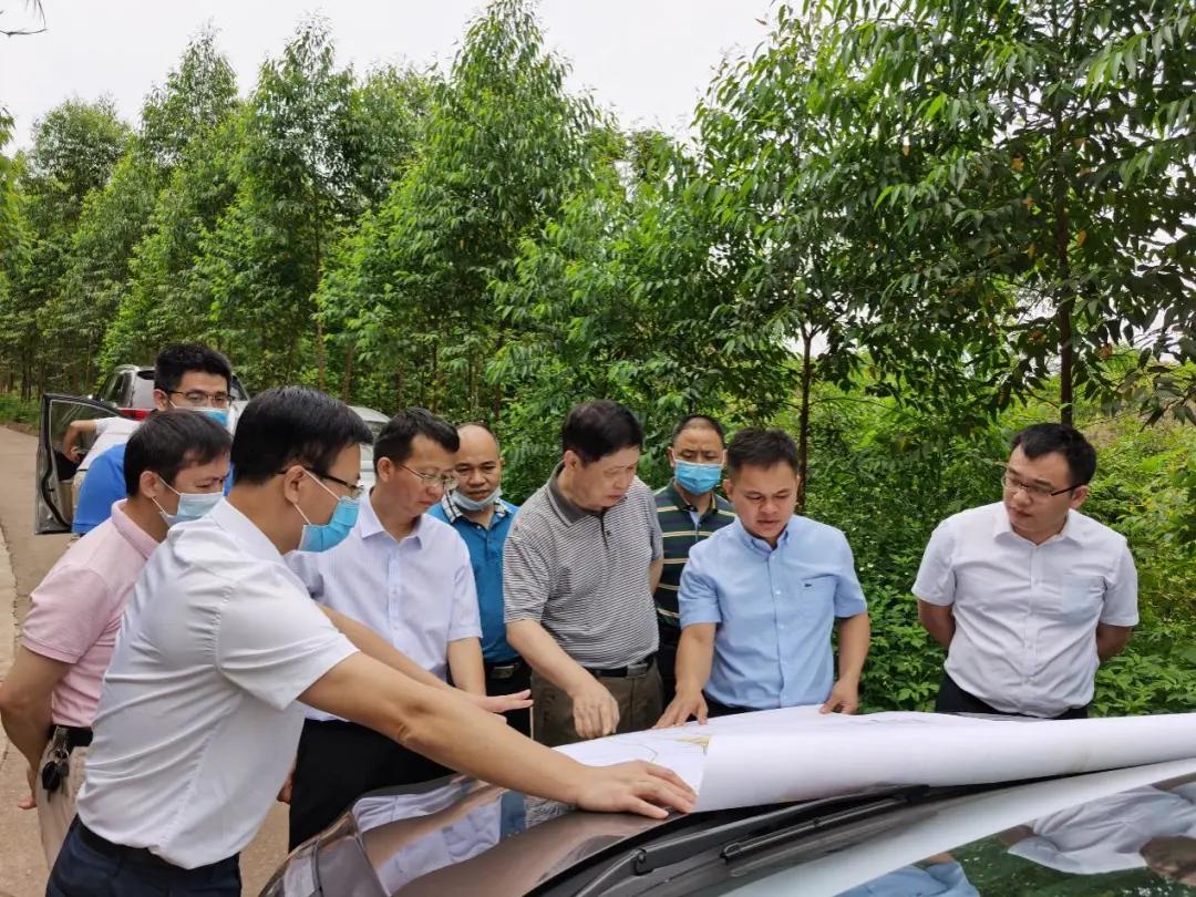 南寧龍象谷最新資訊，游玩指南與技能學習步驟全解析