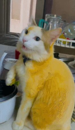 男友最新動(dòng)態(tài)，科技巔峰之作，引領(lǐng)未來生活新紀(jì)元風(fēng)潮