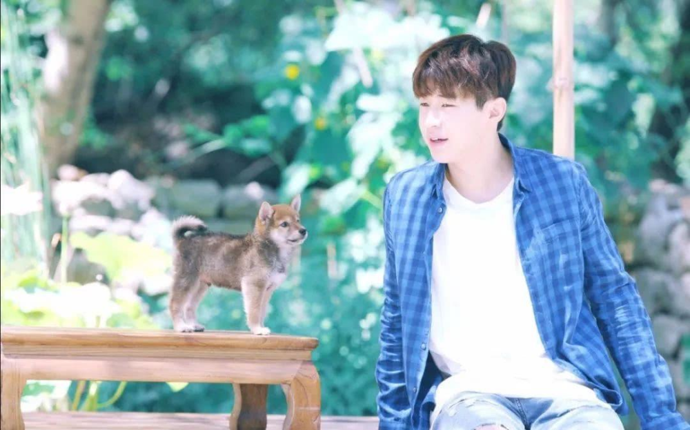 夏雪黃磊攜手演繹別樣精彩人生，新作品震撼來襲！???