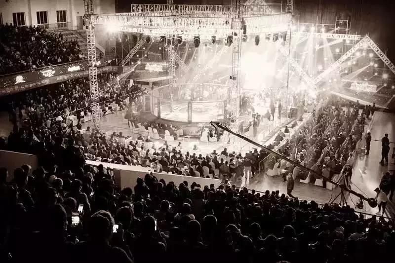 武林籠中對最新一期，自然美景中的對決與內(nèi)心平靜之旅