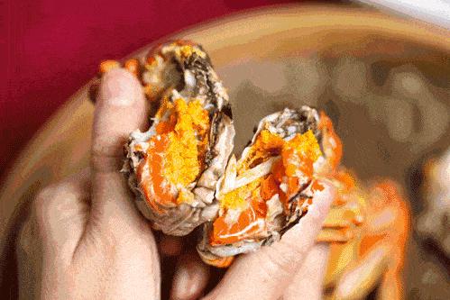 ??陽澄湖螃蟹上市季節(jié)情報，吃貨必知的秋季美味盛宴！??