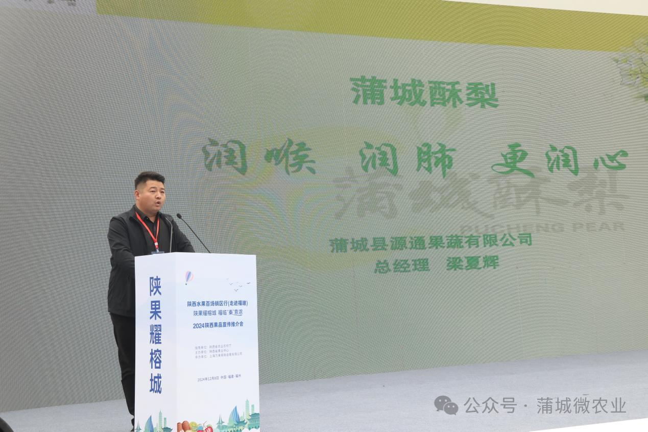 梨城資訊速遞，探索梨城新動(dòng)態(tài)與發(fā)展趨勢(shì)