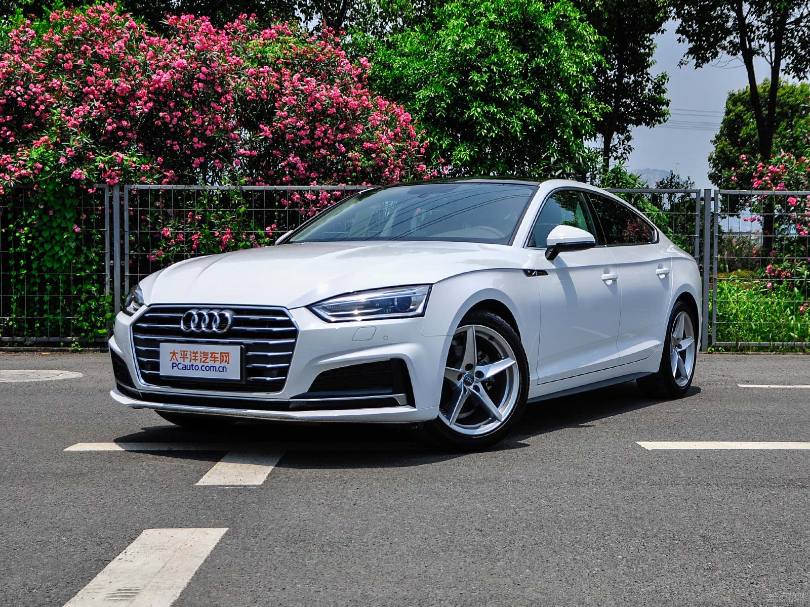 新款奧迪A5價(jià)格及圖片，自然美景探索之旅的絕佳選擇