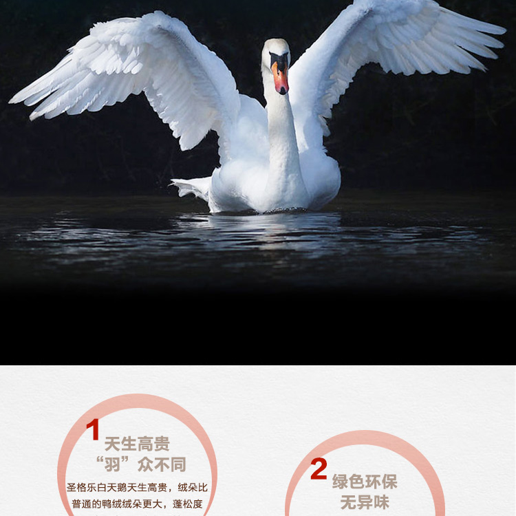 探索小巷羽絨寶藏，90白鵝絨價(jià)格與溫暖故事