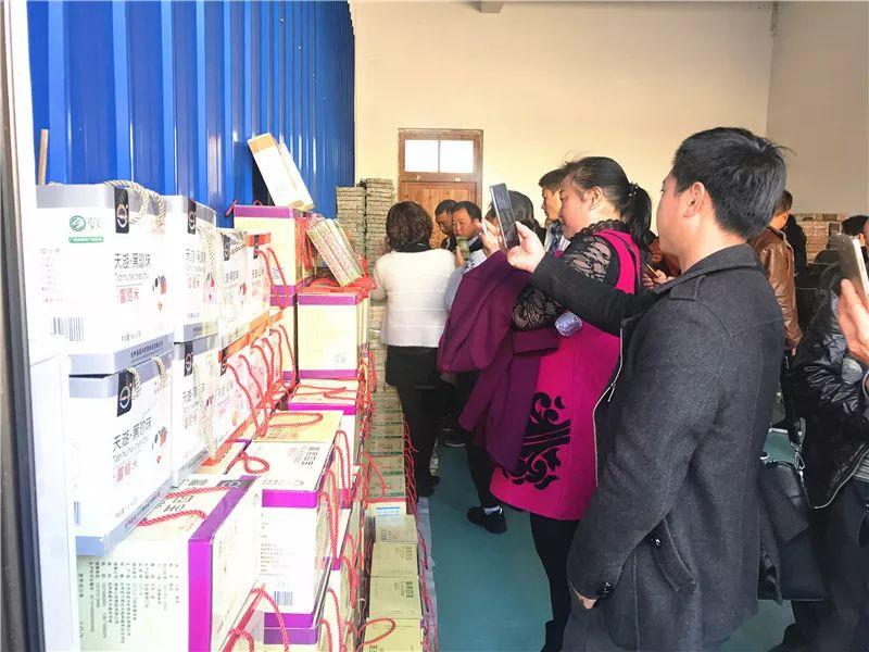 最新職業(yè)資訊，洞悉行業(yè)趨勢(shì)與人才需求洞察