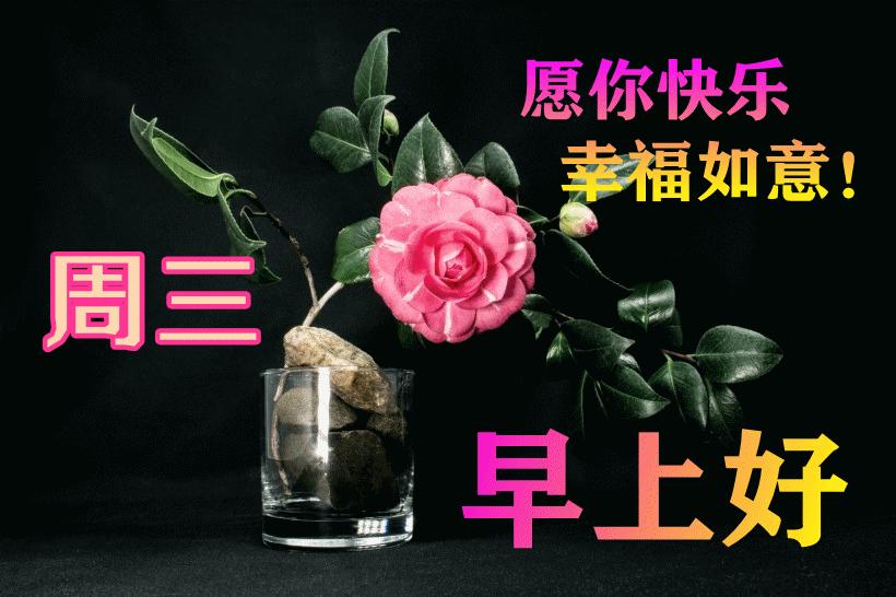 最新早晨問(wèn)候動(dòng)態(tài)表情包，溫馨問(wèn)候，從表情開(kāi)始！