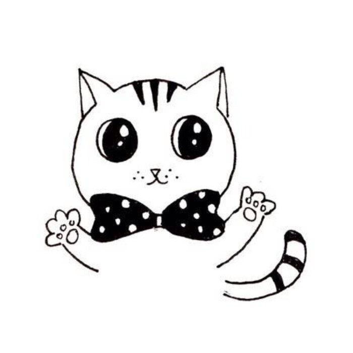 喵咪動漫，初學者與進階用戶的技能學習指南