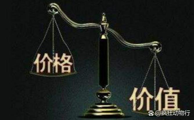 價格與價值解析，差異何在？