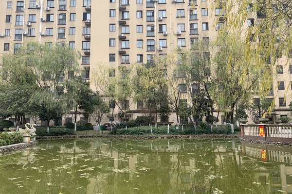 中豪明珠城最新價格，時代印記與城市的脈動