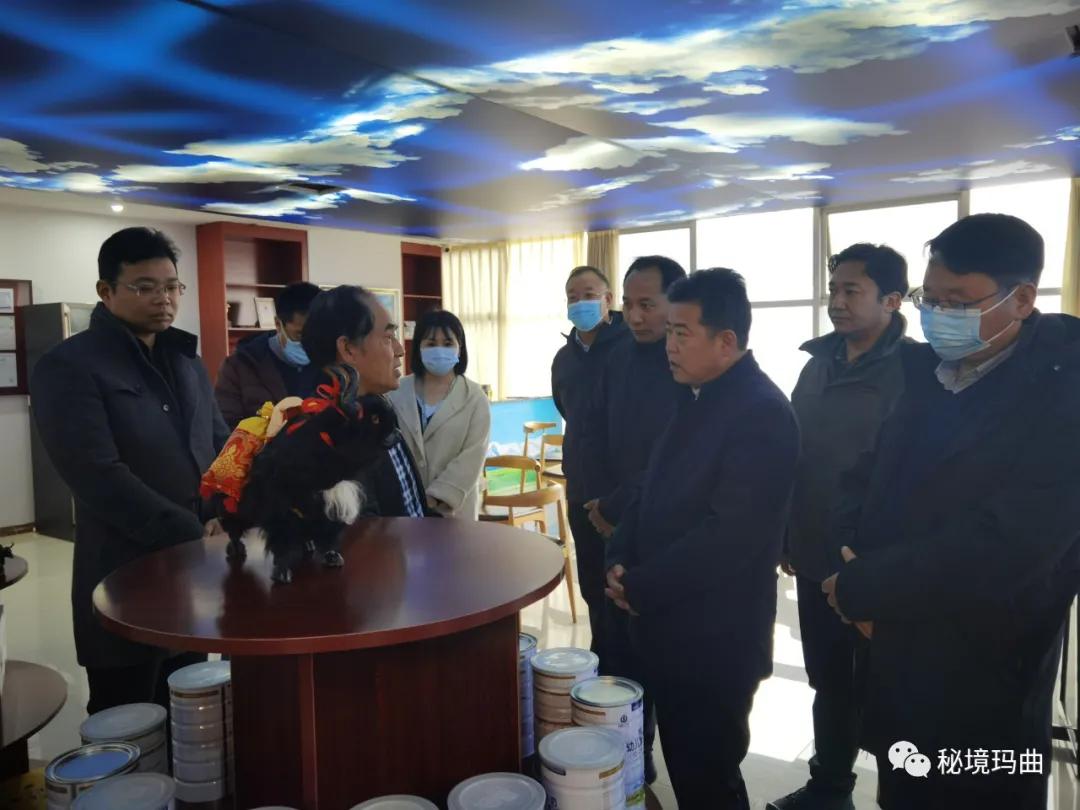 高原之寶上市，學(xué)習(xí)、蛻變與自信的輝煌之旅