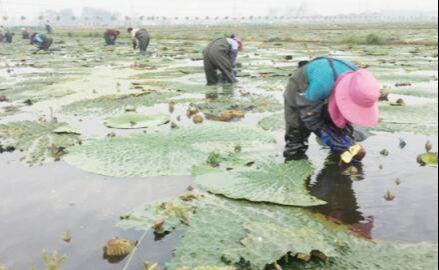 王碼五最新版，鍵盤上的友情與家的溫馨體驗(yàn)