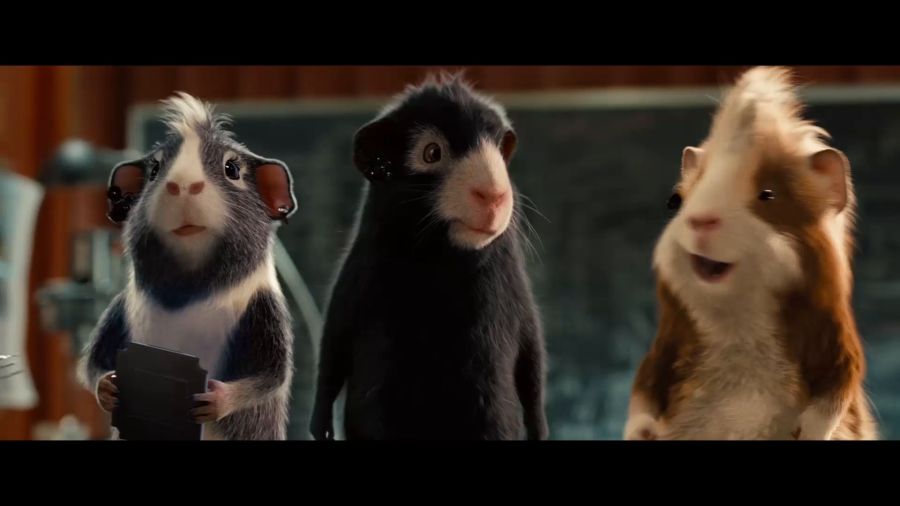 豚鼠電影,豚鼠電影，科技巨獻(xiàn)，重塑觀影體驗