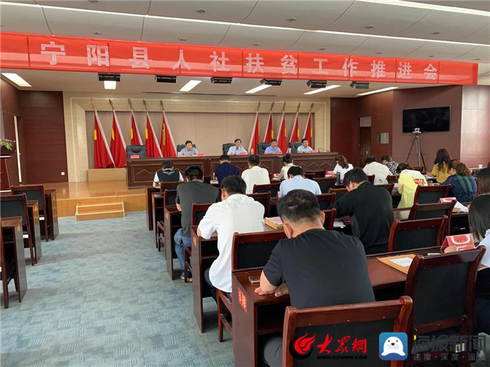 寧陽網(wǎng)最新資訊，城市中的溫情日常