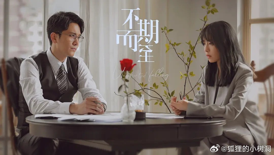 不期而至電視劇，從入門到進(jìn)階的觀看指南