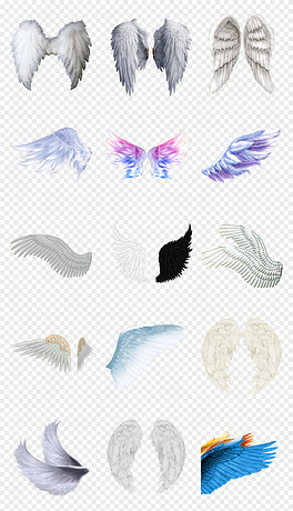 動漫翅膀繪制指南，從白紙起步，繪出飛翔的勵志翅膀！