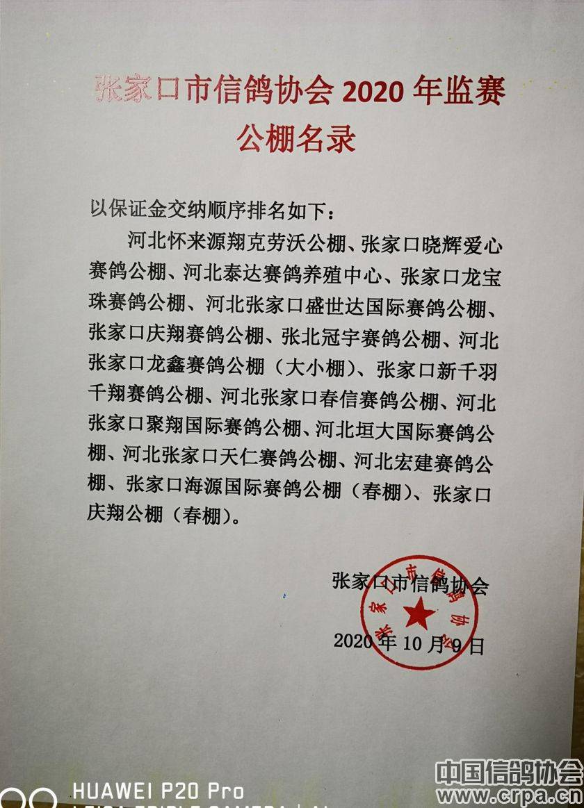 東光信鴿協(xié)會最新通告，小巷深處的獨特風味揭秘與信鴿活動更新通知