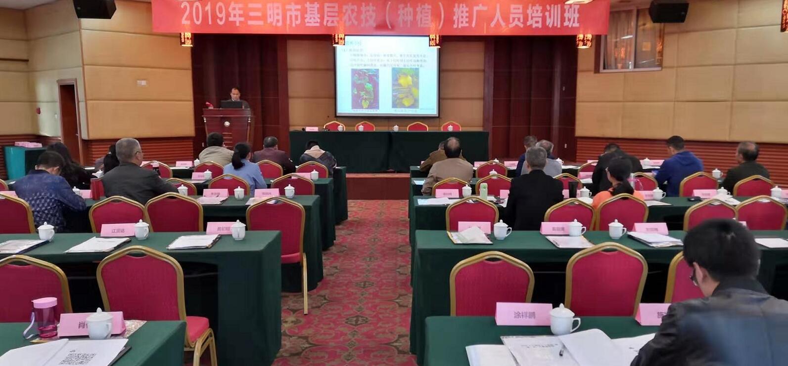 豇豆最新，廚房中的友情與家的溫馨