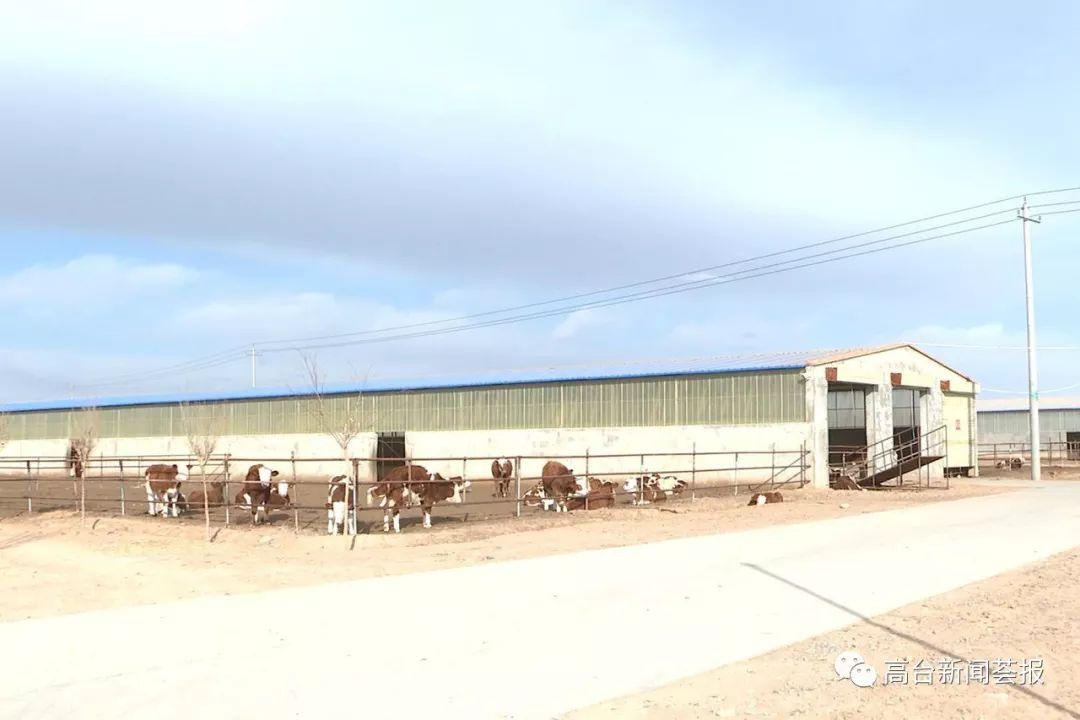 最新養(yǎng)殖場建設(shè)政策解讀，探索之旅啟程