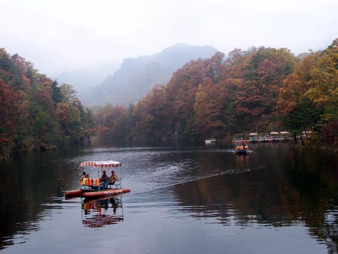 心動瞬間，愛情與生活的美妙交匯