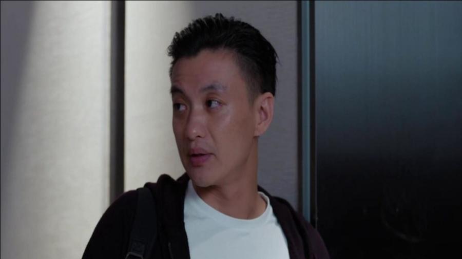 郭鑫年最新動態(tài)揭秘，小巷特色小店探索之旅