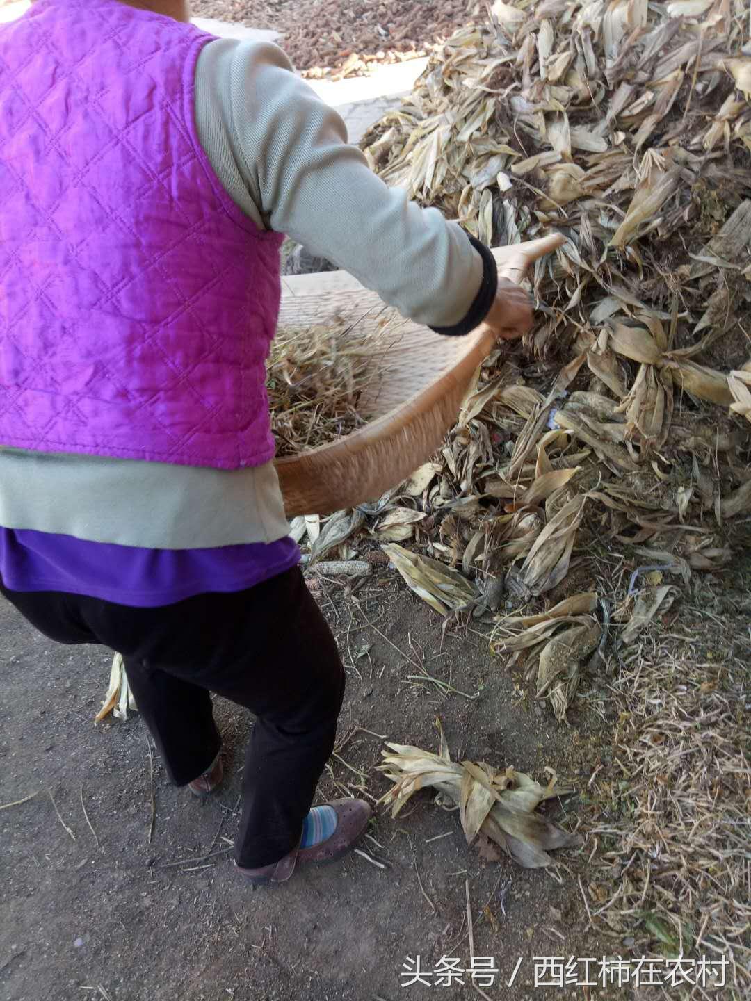 彬縣撤縣設(shè)區(qū)最新進(jìn)展，最新動(dòng)態(tài)更新