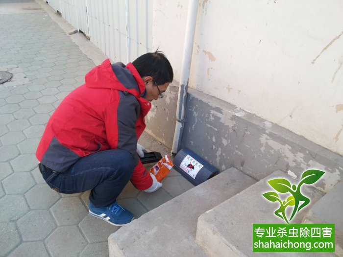 最新滅鼠技術(shù)的觀點論述與立場闡述，創(chuàng)新方法的探索與挑戰(zhàn)