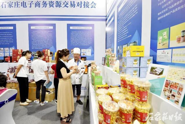 石家莊保稅區(qū)最新資訊，發(fā)展脈絡(luò)、地位影響及最新動態(tài)解析