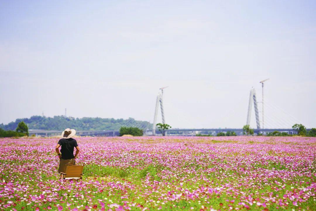 陳小北聚焦科技前沿，引領(lǐng)創(chuàng)新潮流新動(dòng)態(tài)