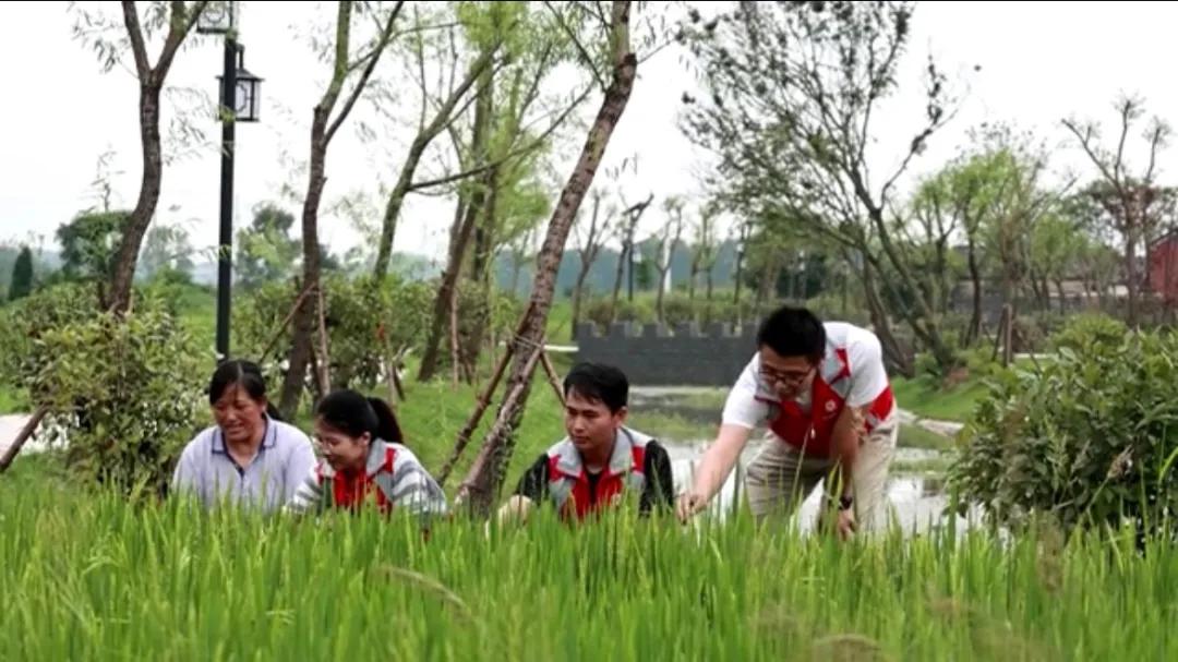 曲陽(yáng)縣城最新招聘信息揭秘，小巷中的獨(dú)特小店等你來(lái)探索！