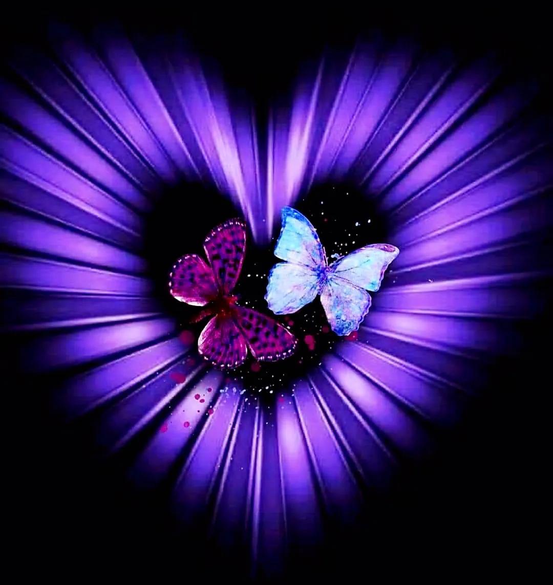 最新情感交流圈，學(xué)習(xí)、成長(zhǎng)與自信的力量之源