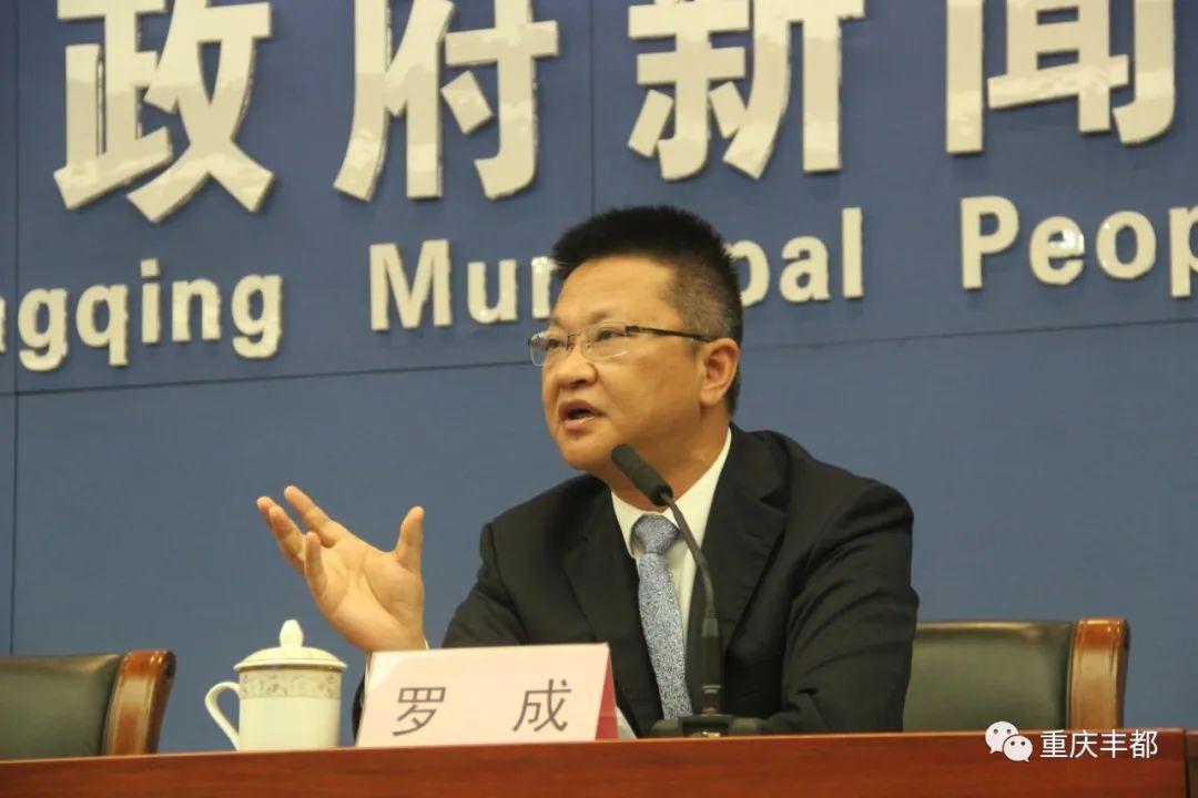 豐都新聞快訊，日常溫情與陪伴的瞬間