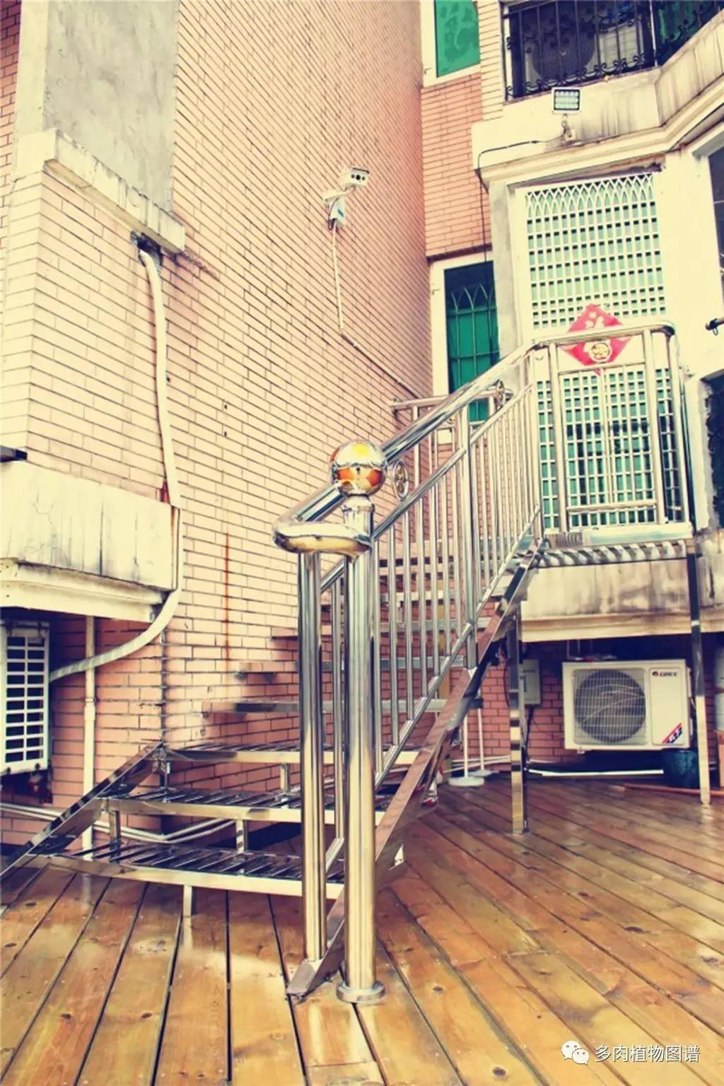 自產(chǎn)自用等同銷售的高科技產(chǎn)品介紹，最新科技與商業(yè)融合的創(chuàng)新實(shí)踐