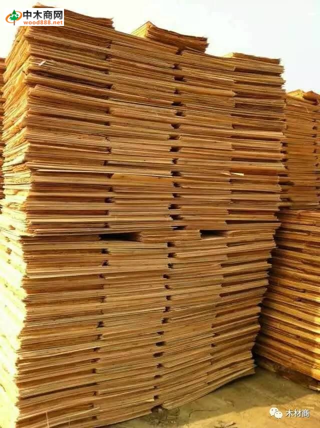 科技革新引領(lǐng)板皮廠行情，開啟板材加工新時代