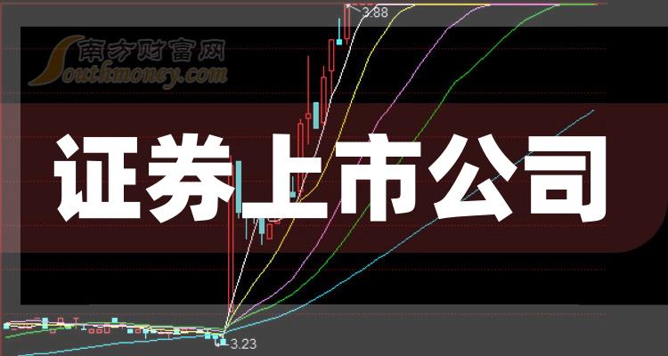 科技巨頭引領(lǐng)下的全新視界，股票上市公司概覽