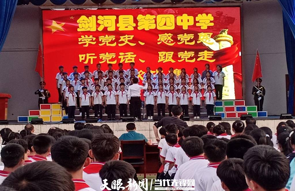 青蛙與狗的泳池挑戰(zhàn)，揭秘游泳比賽背后的故事，青蛙夢工廠的秘密探索