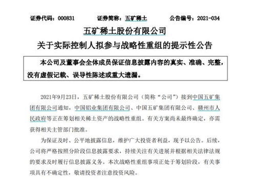 南方稀土股票，小巷中的隱秘寶藏，探索投資魅力的未知之旅