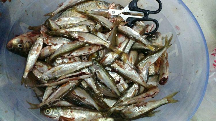 昆明最新野釣地點探索，重拾生活激情與自信的自然之旅