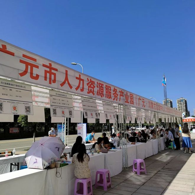 廣元最新招聘資訊詳解，觀點(diǎn)闡述與解析