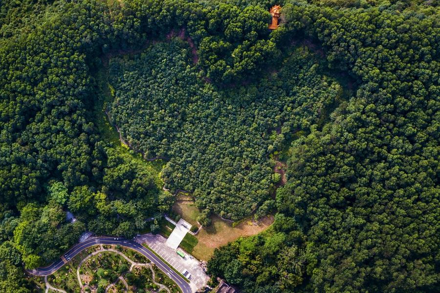 香港演員林，溫馨日常的點(diǎn)滴記錄