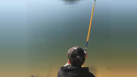 楊柏文最新垂釣視頻，從初學者到進階用戶的技能提升指南