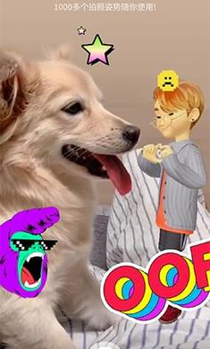 崽崽最新版下載，一段充滿愛與陪伴的溫馨旅程