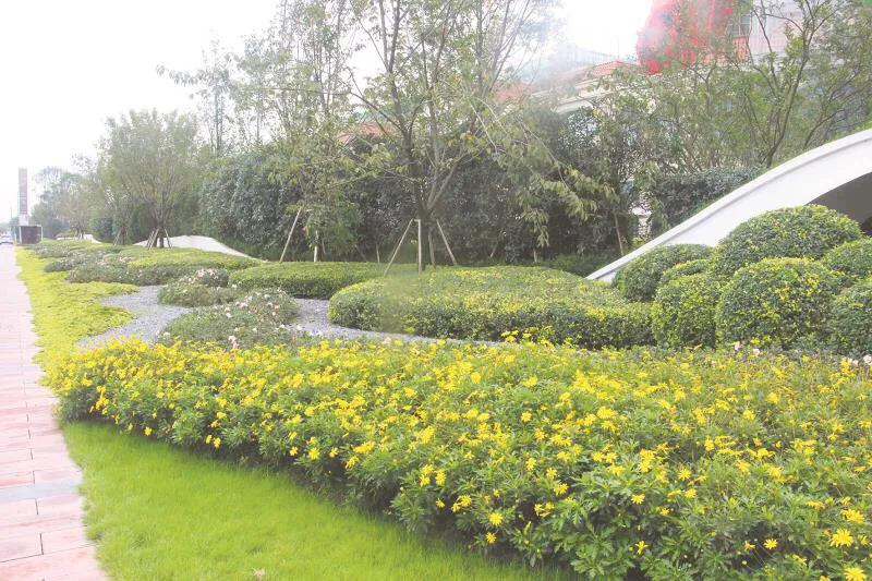 嬢王演員的自然之旅，邂逅美景，尋找內(nèi)心平和之道