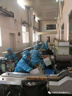 朝陽(yáng)食品廠誠(chéng)邀英才共創(chuàng)未來(lái)輝煌