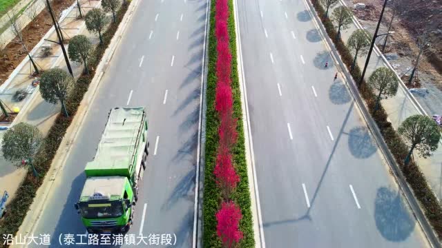 關(guān)花大道最新進展，矚目盛景呈現(xiàn)！