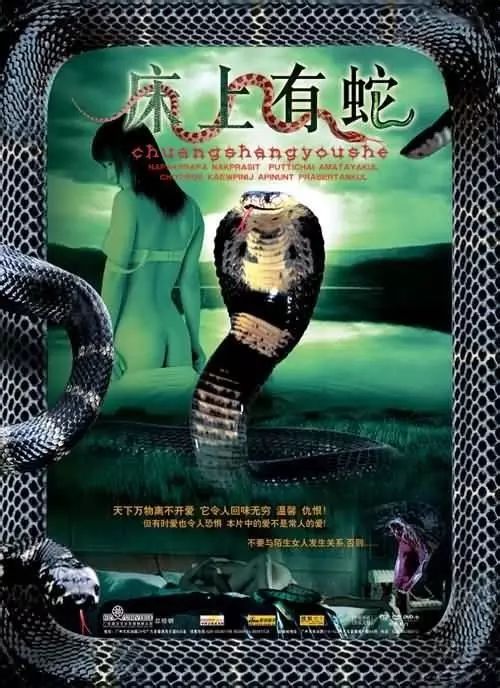 最新蛇片，蛻變的旅程，召喚自信與成就感的冒險(xiǎn)之旅