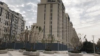 趙村最新動態(tài)，鄉(xiāng)村振興新篇章開啟